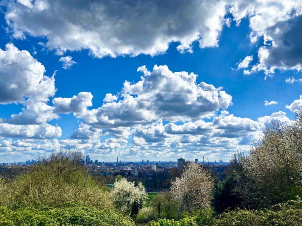 Hampstead Heath 3