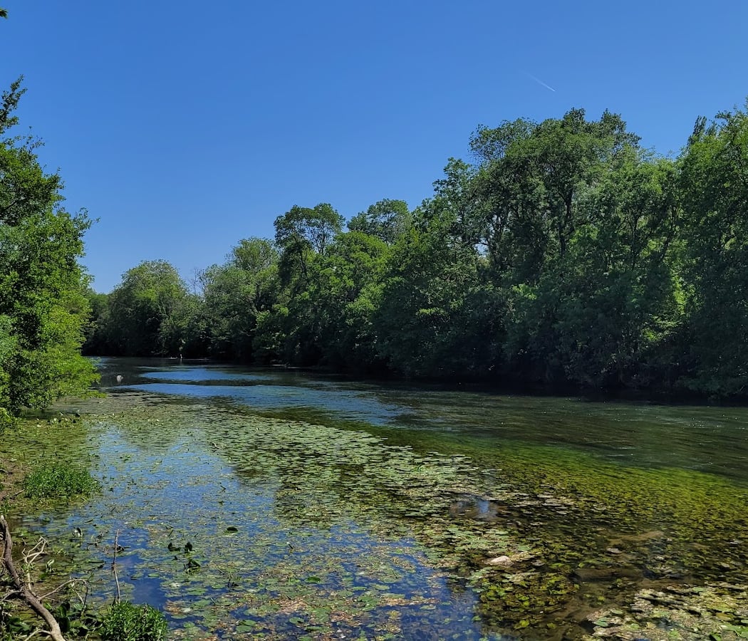 Sortie nature "découverte du marais de la plaine de Sorques" 3