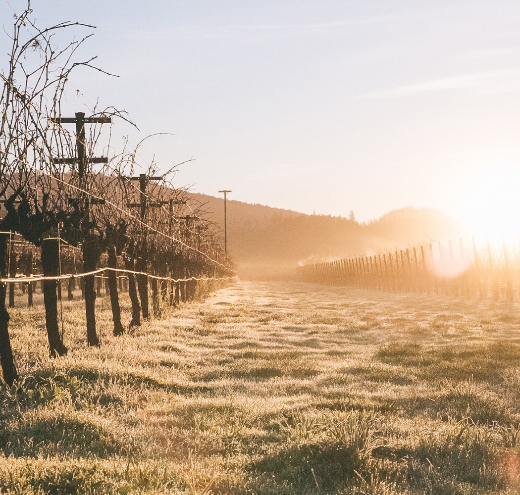 Larkmead Vineyards 2