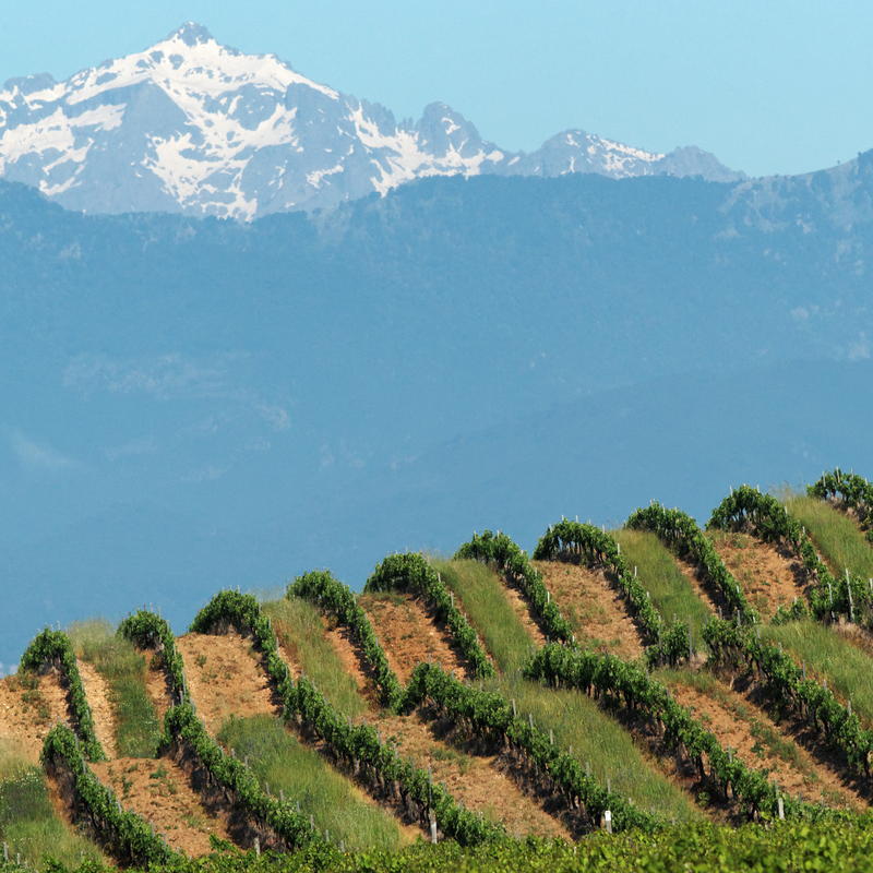 Southwest France & Corsica 1