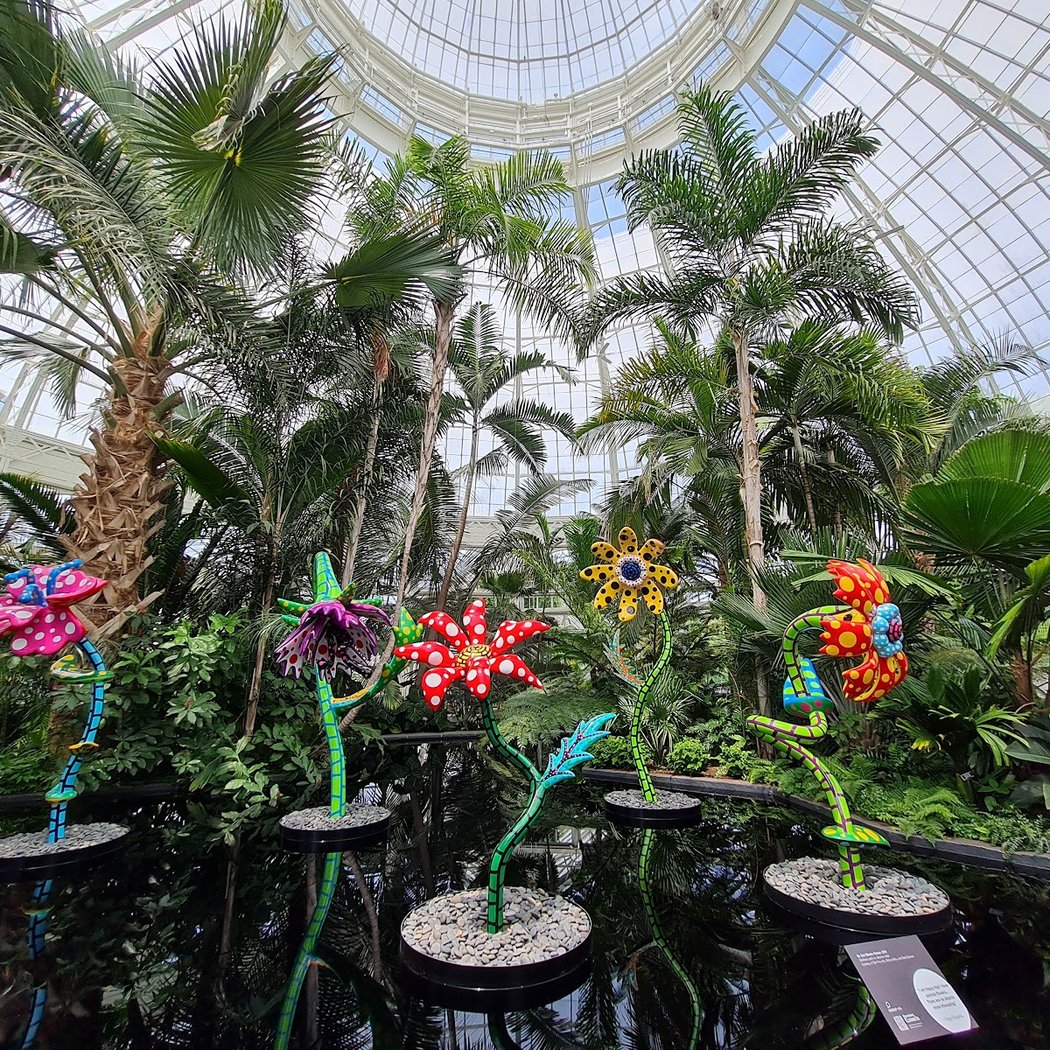 NYBG Ticket Counter 1