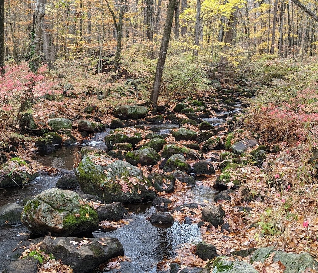 Bartlett Arboretum & Gardens 3