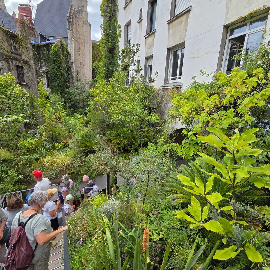Jungle intérieure 2
