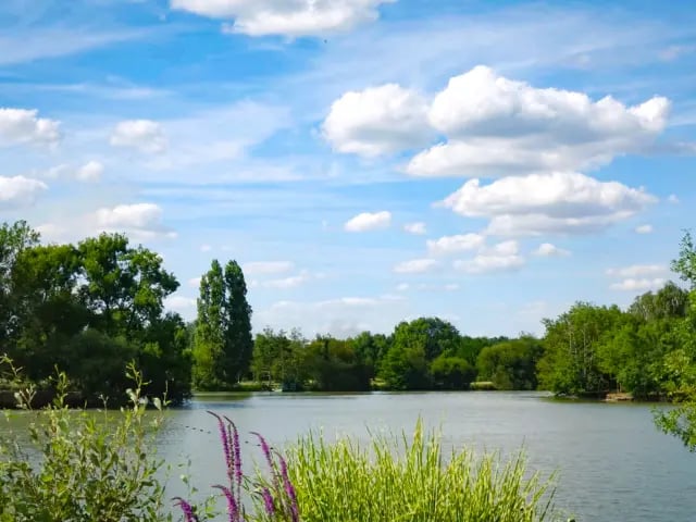 Plan d'eau du Chêne 2