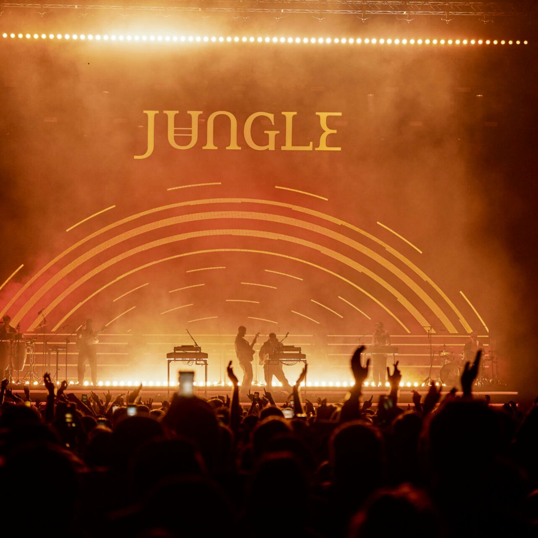 Jungle 3