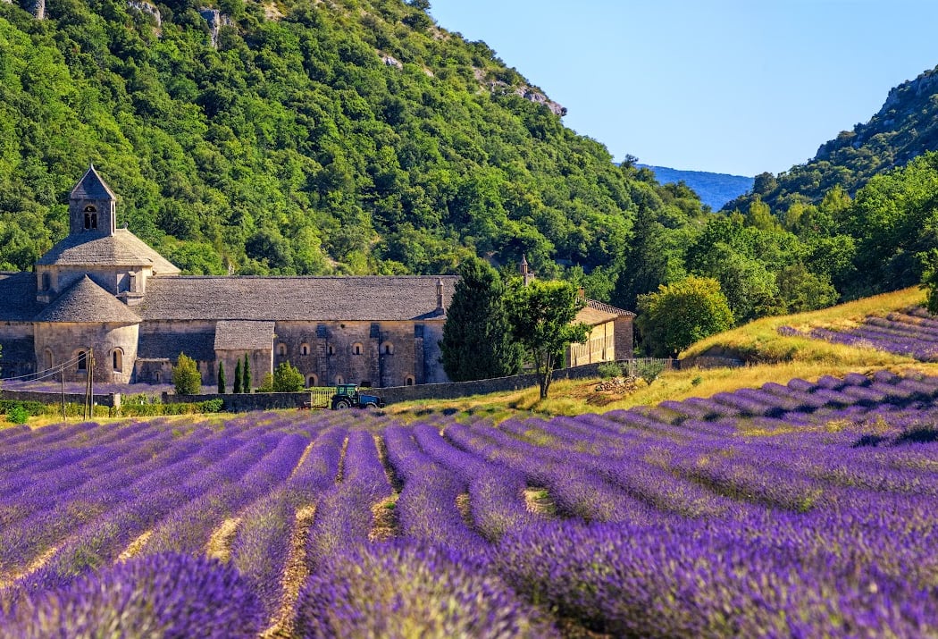 Luberon Bike Rental - Location de vélo à Coustellet, Luberon, Provence 1