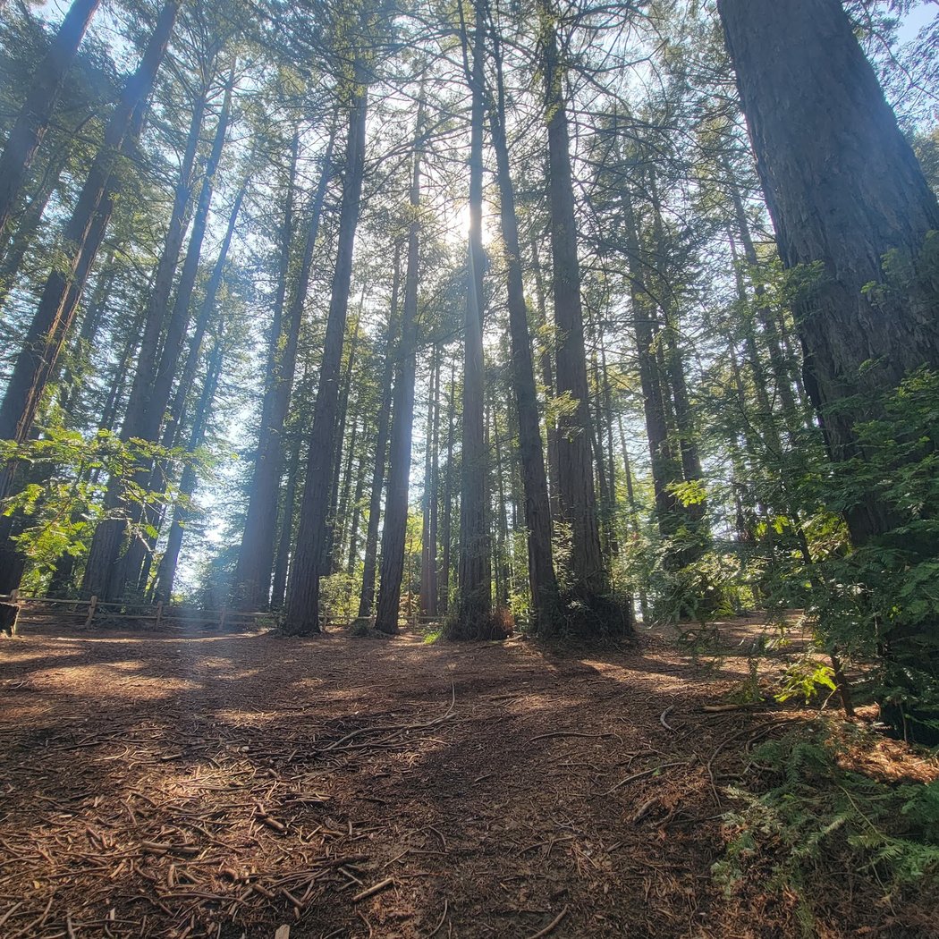 Bay Vista Picnic Area 1