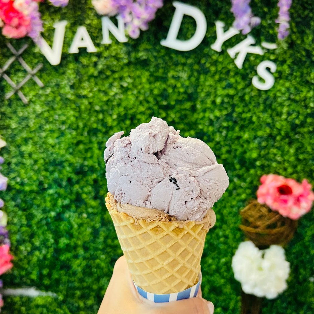 Van Dyk's Homemade Ice Cream 1