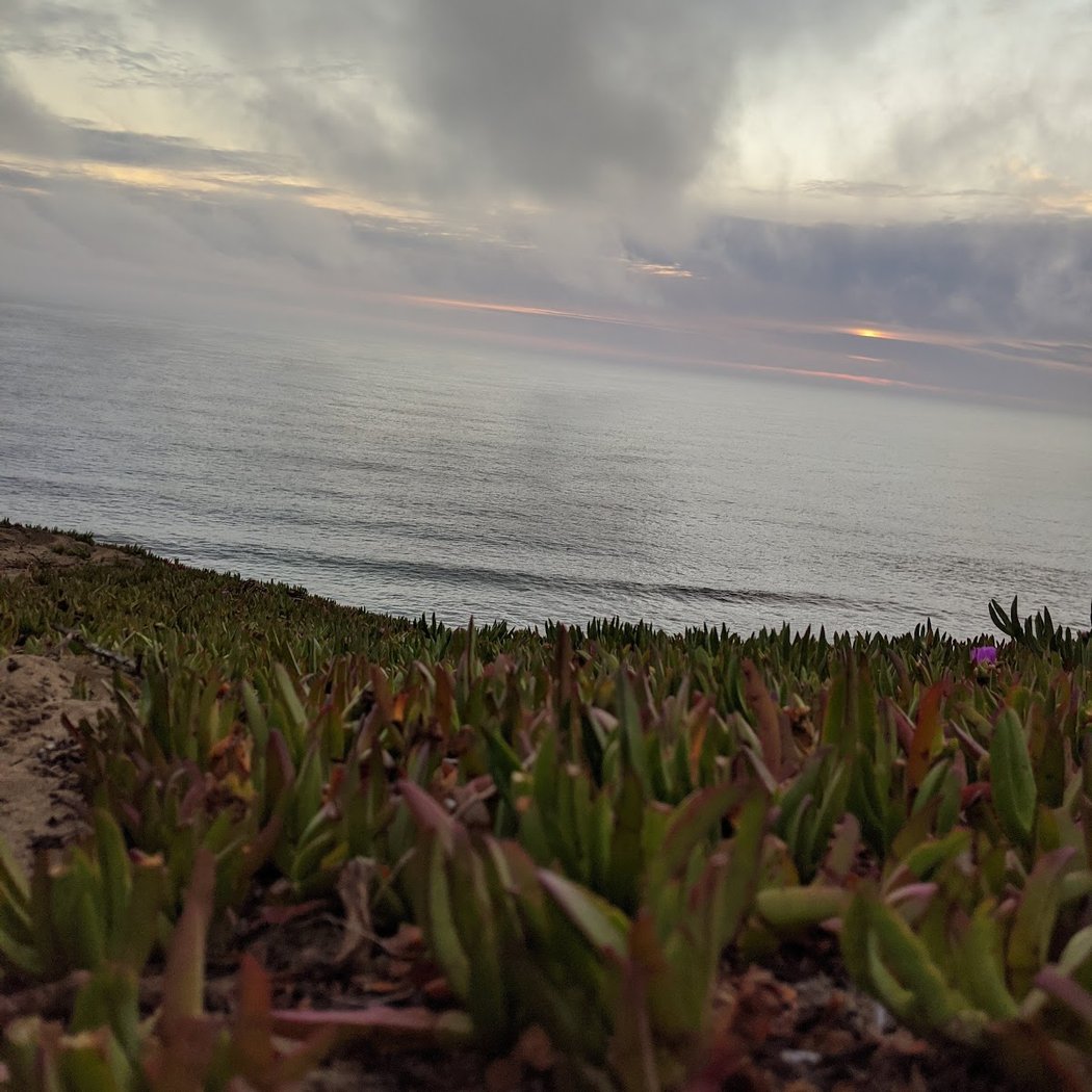 Pacific Coast Fog Festival 1
