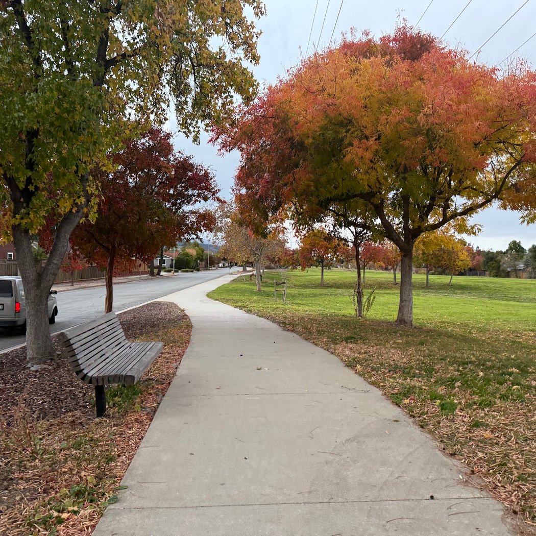 T J Martin Park 1