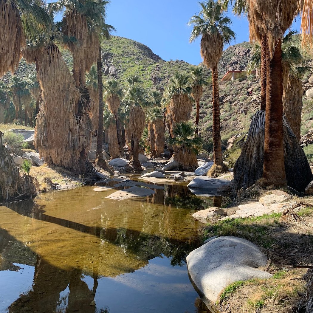 Indian Canyons 2