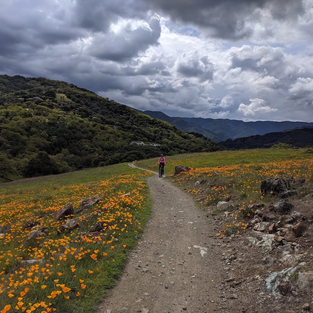 Just Another Mountain Bike Adventure 1