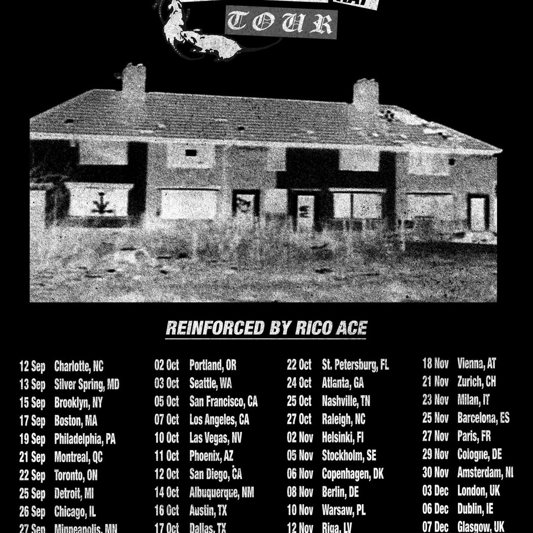 EsDeeKid - Council House Rat Tour 1