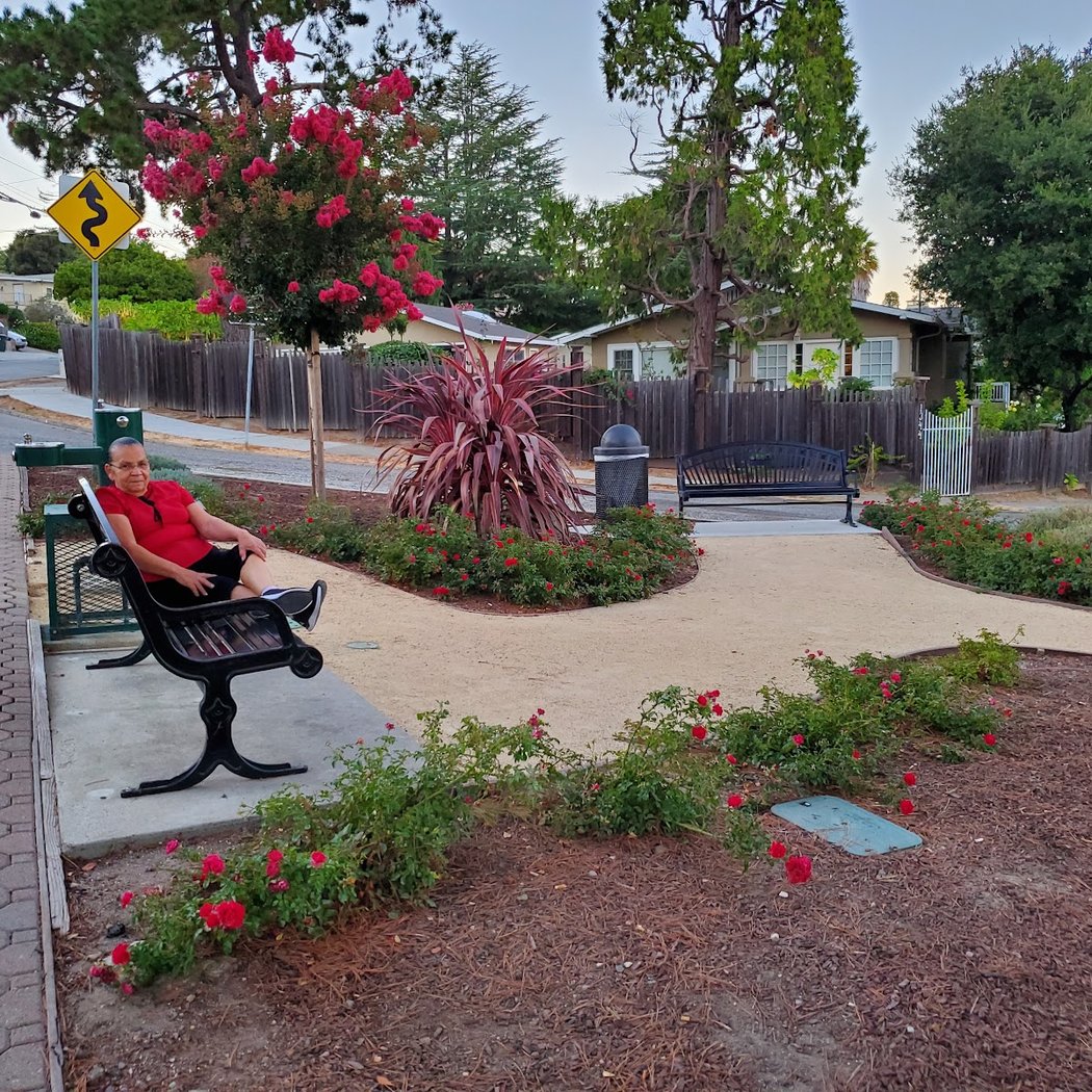 Rosek Park 3