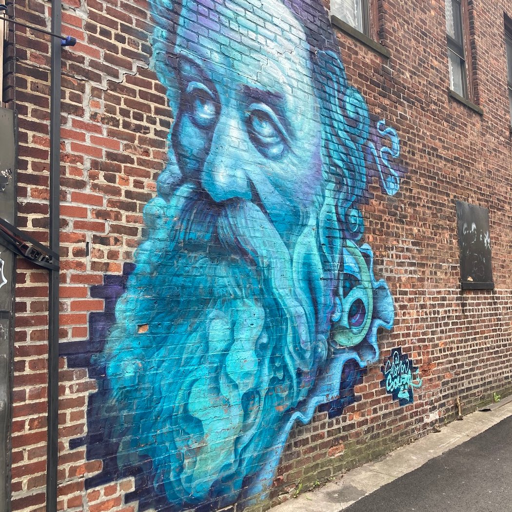 Jewish Brooklyn Hasidic Walking Tours 3