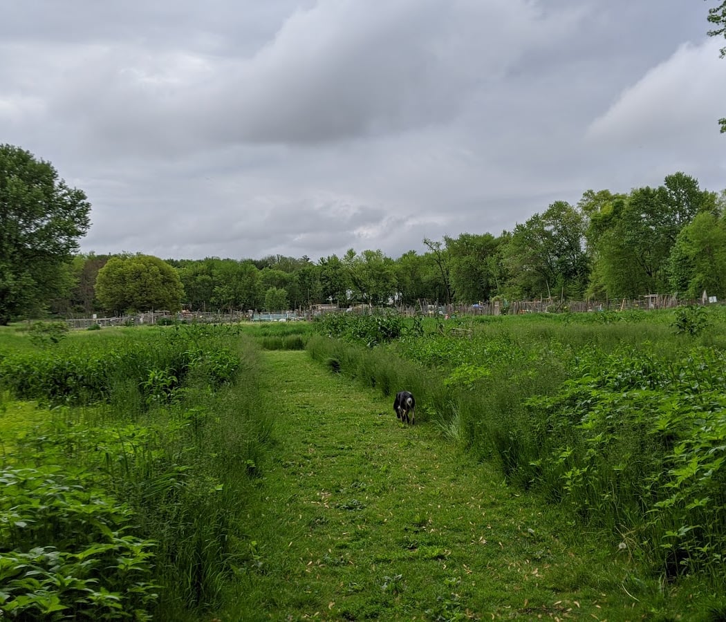 Nyquist-Harcourt Wildlife Sanctuary 3