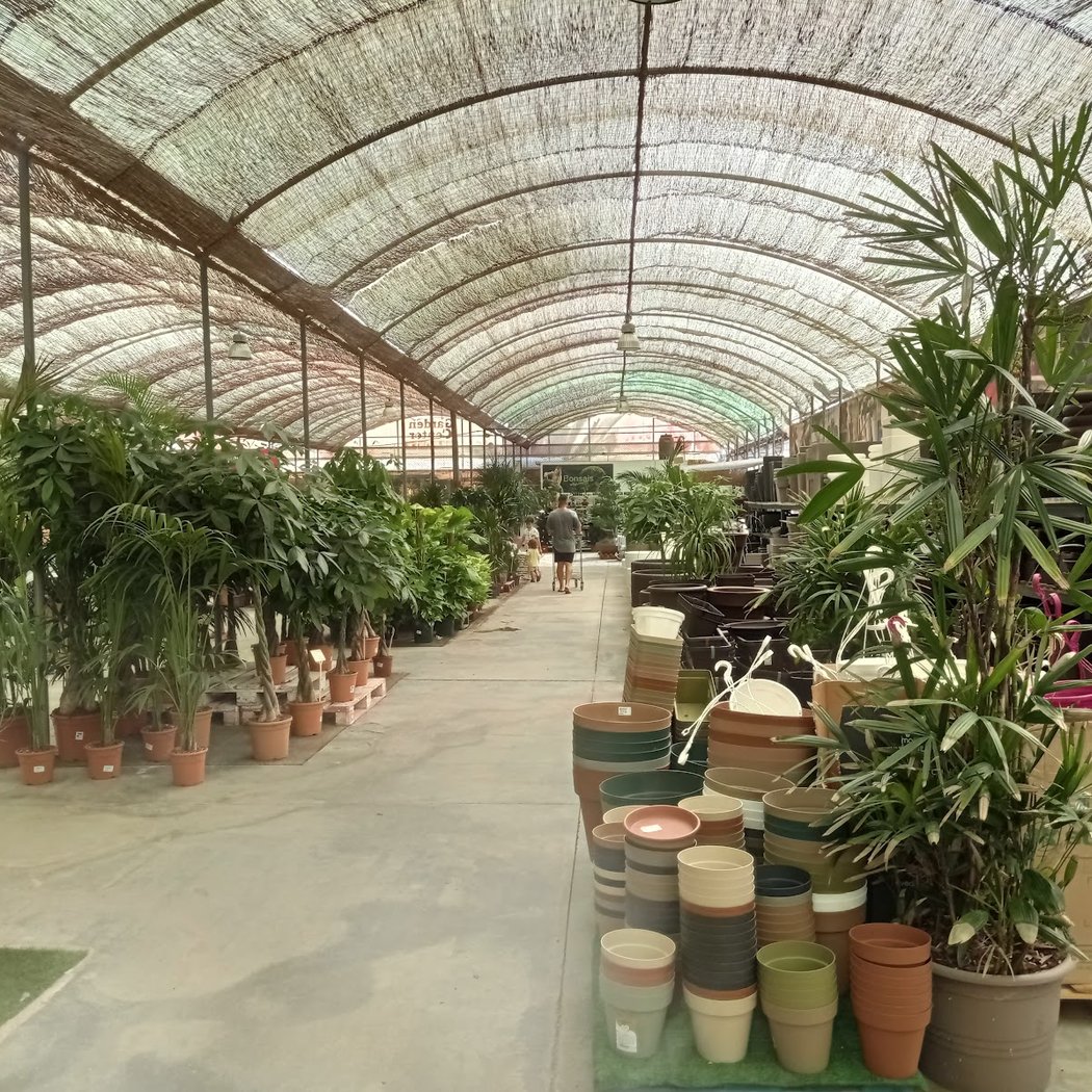 Vivero Garden Center Belmonte 3