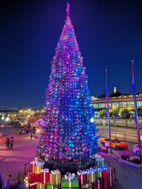 Pier 39 Christmas Tree 1