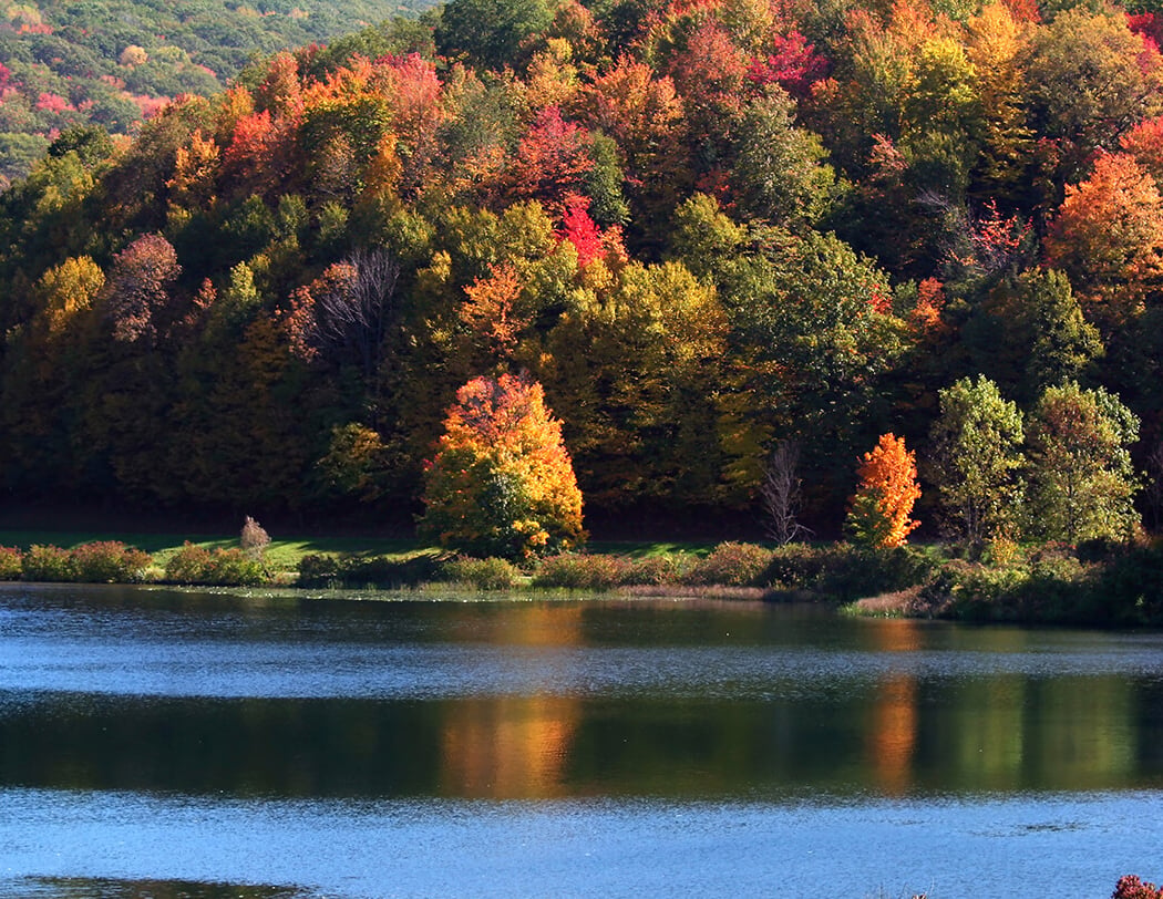 Schuylkill County Conservancy Annual Meeting & Dinner 1