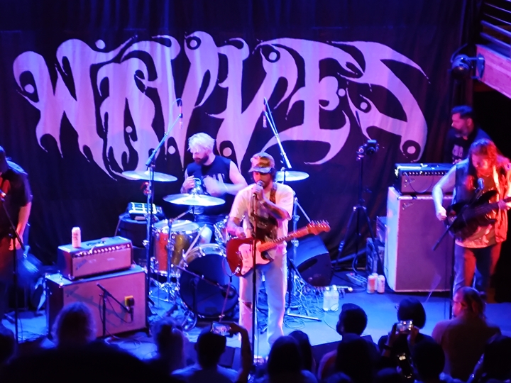 Wavves 1