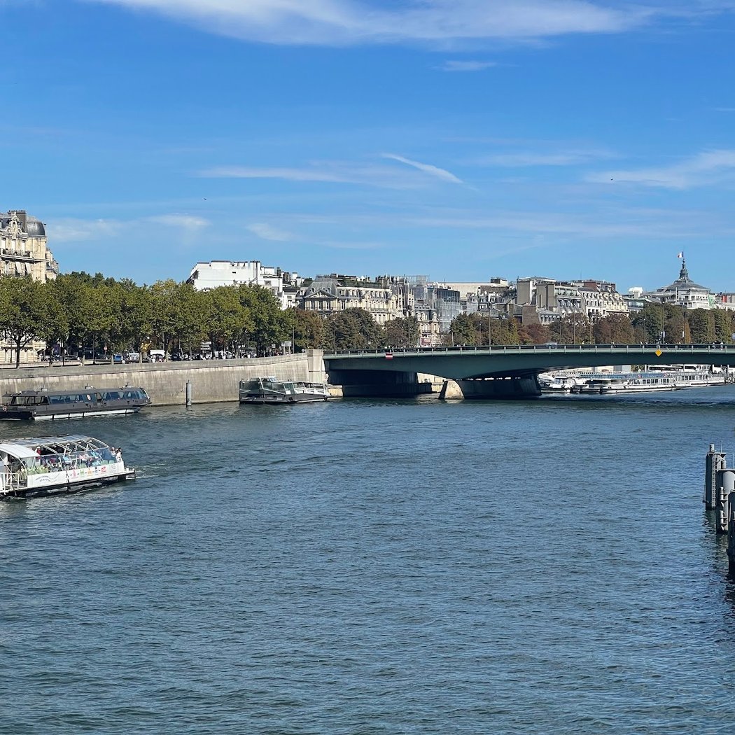 Passerelle Debilly 3