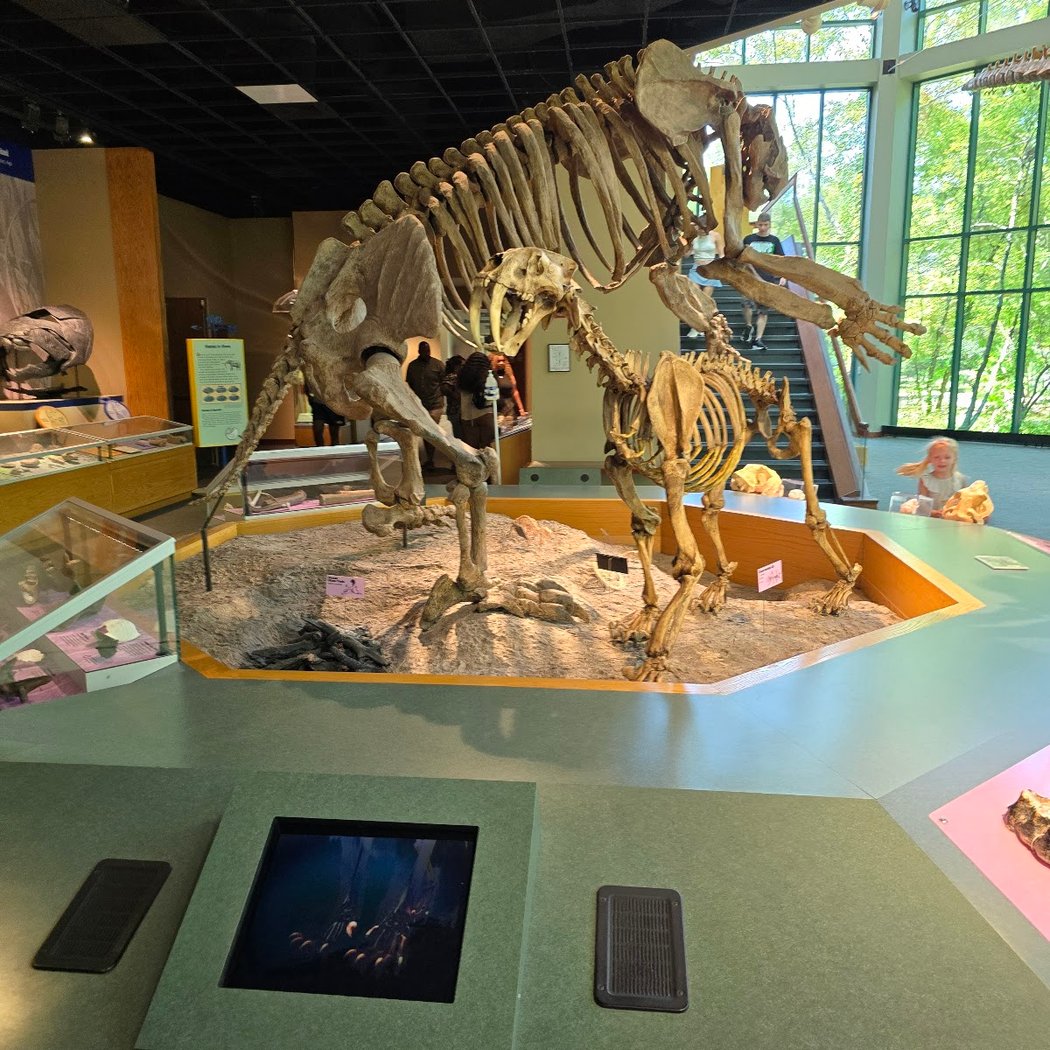 Mississippi Museum of Natural Science 3