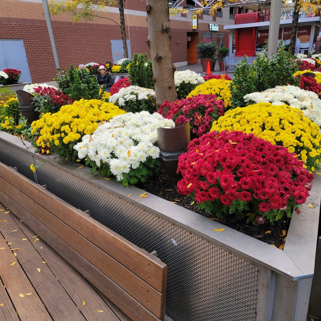 Rego Park 1
