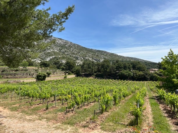 Provence Wine Tours 3