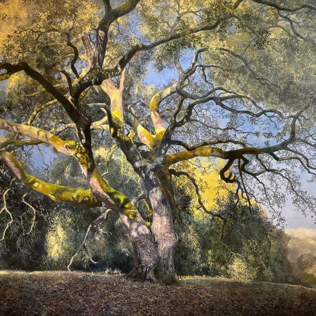 Ken Jarvela Plein Air Paintings of Northern California 1