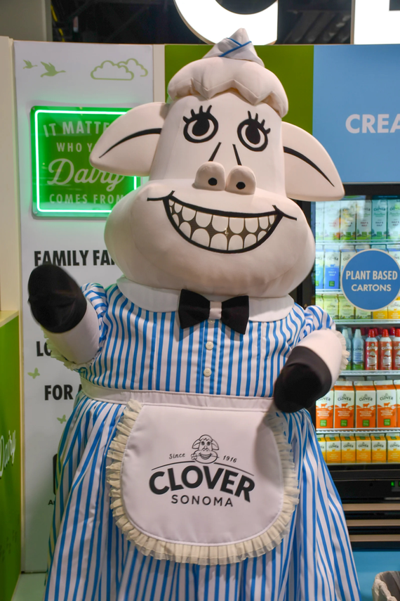 Clover Sonoma Ice Cream Sampling Event 1