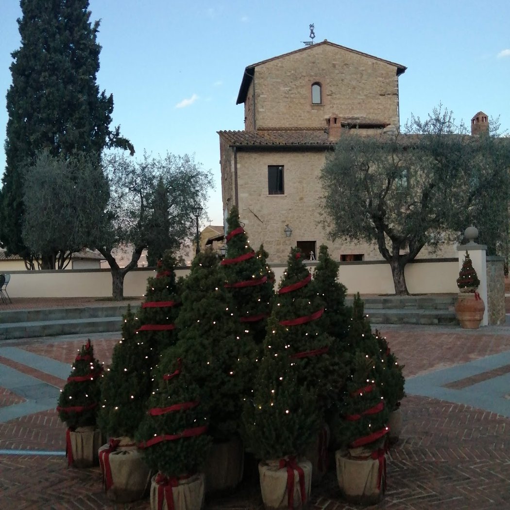 Solomeo 3