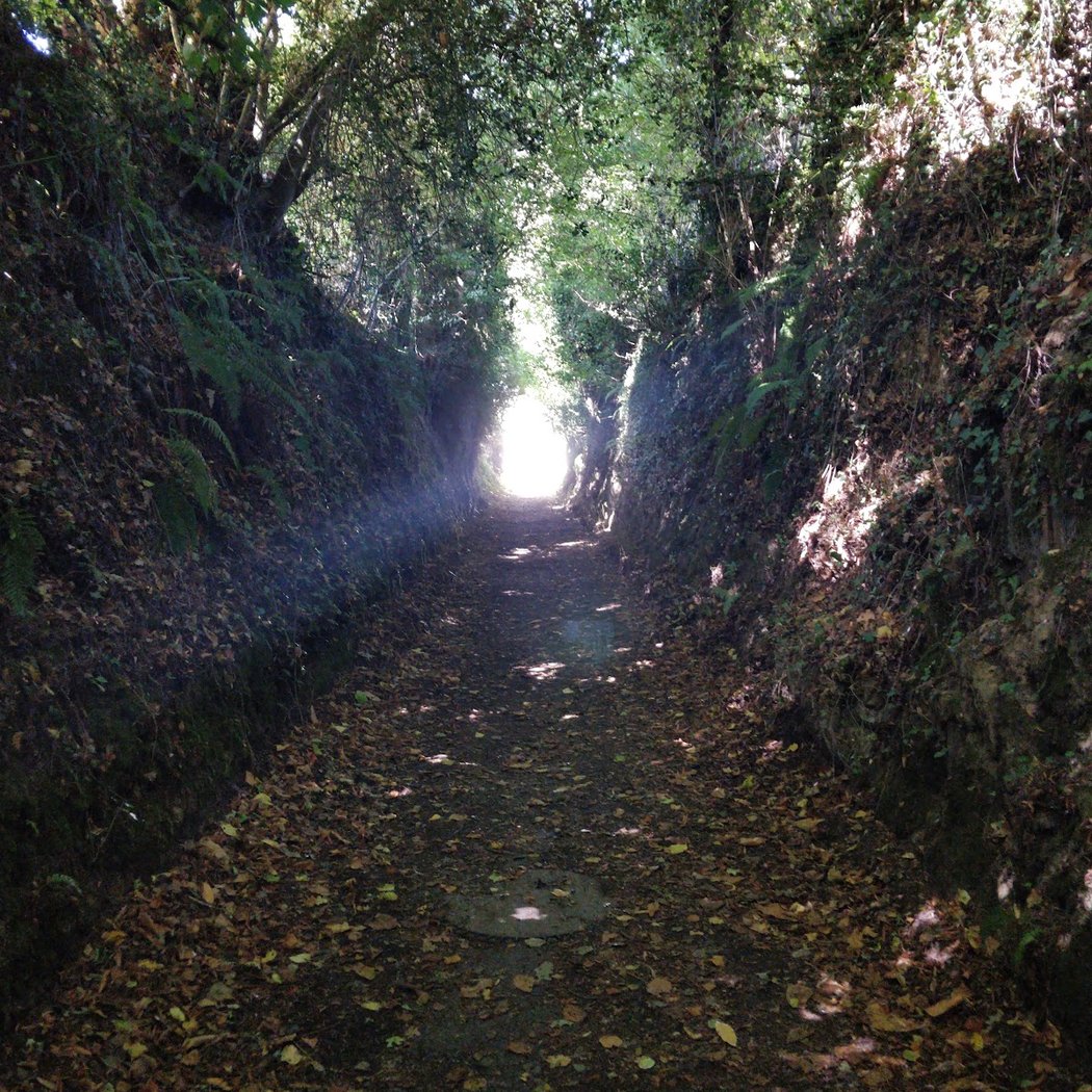 Pont - Barbotiere 1