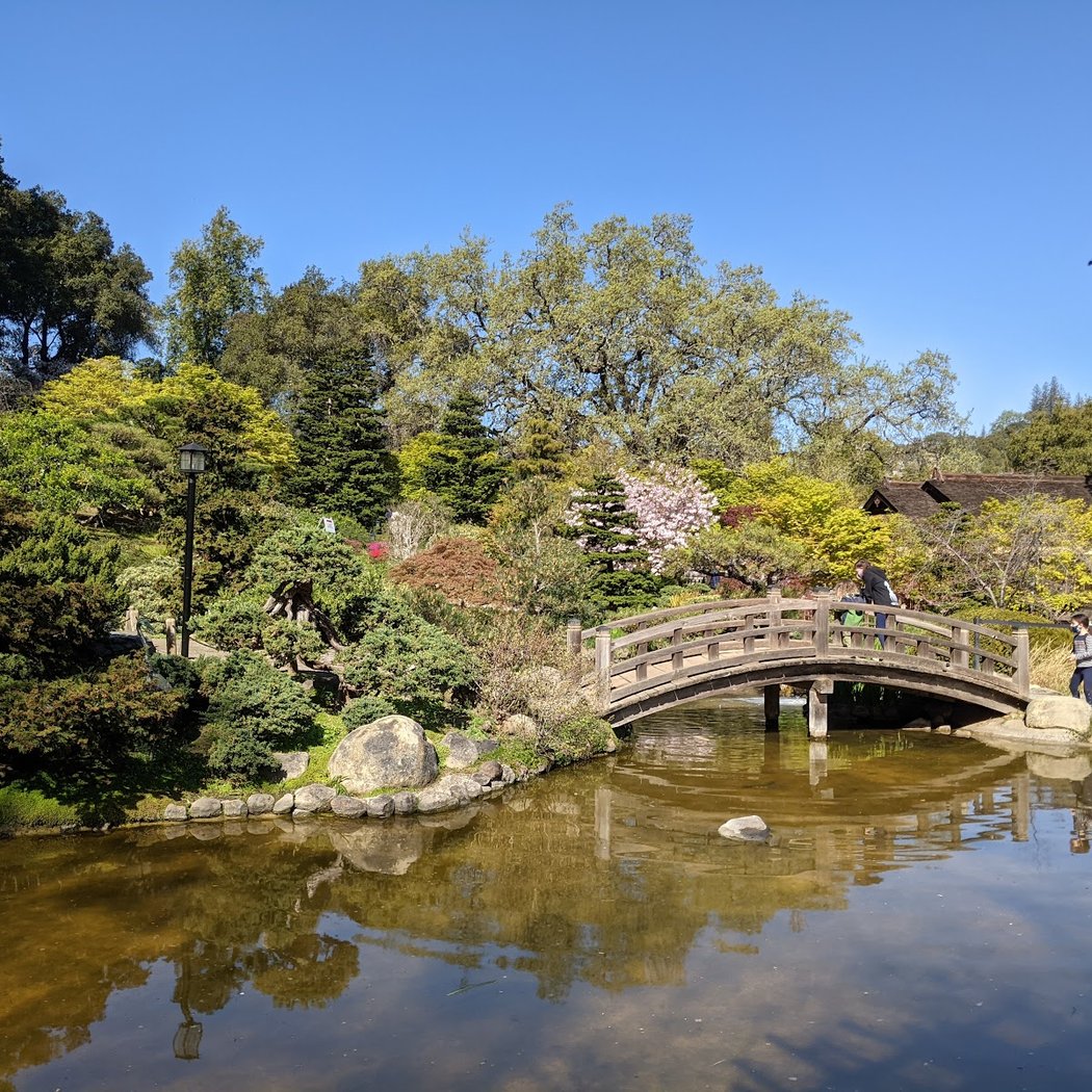 Japanese Tea Ceremonies 3
