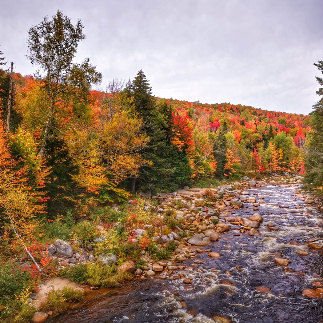 White Mountain National Forest 4
