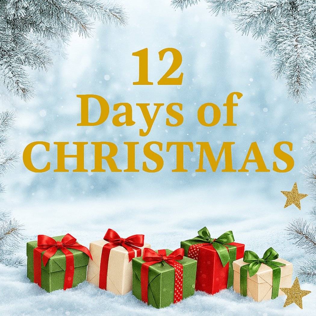 The Twelve Days of Christmas Are Back at Hannah Nicole 1