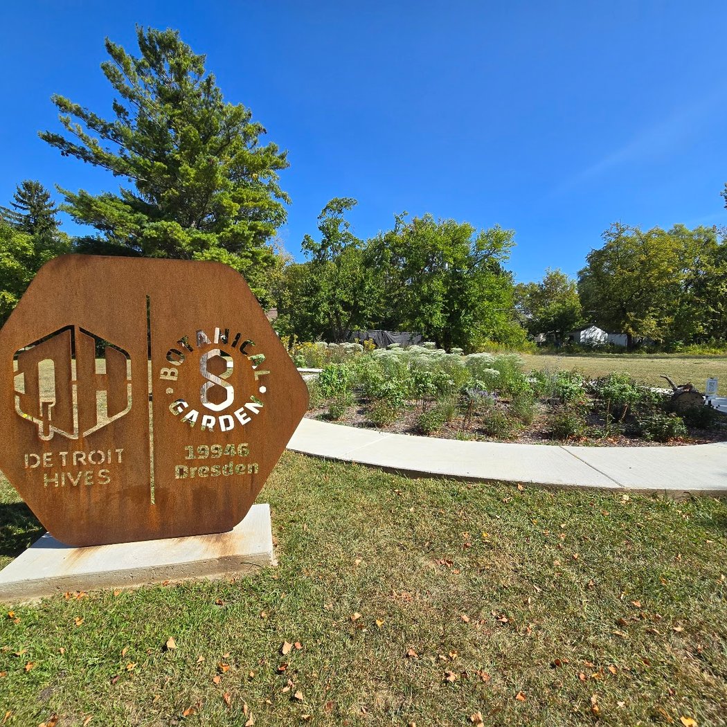 Former Site of Eminem Childhood Home 3
