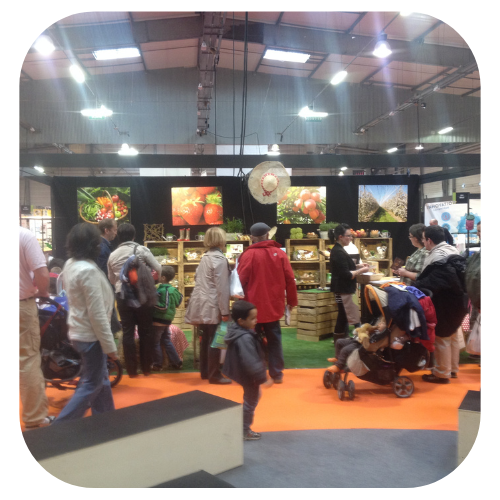 Stand de notre magasin de fruits et légumes 1