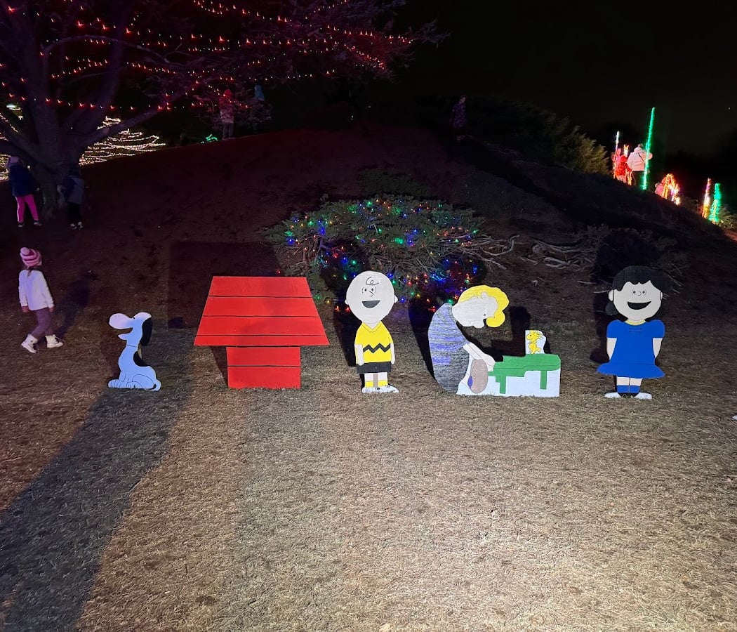 Rose Tree Festival of Lights 1