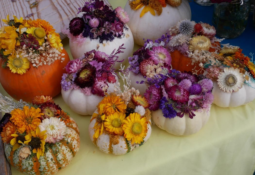 Dried Flower Pumpkins Workshop 2