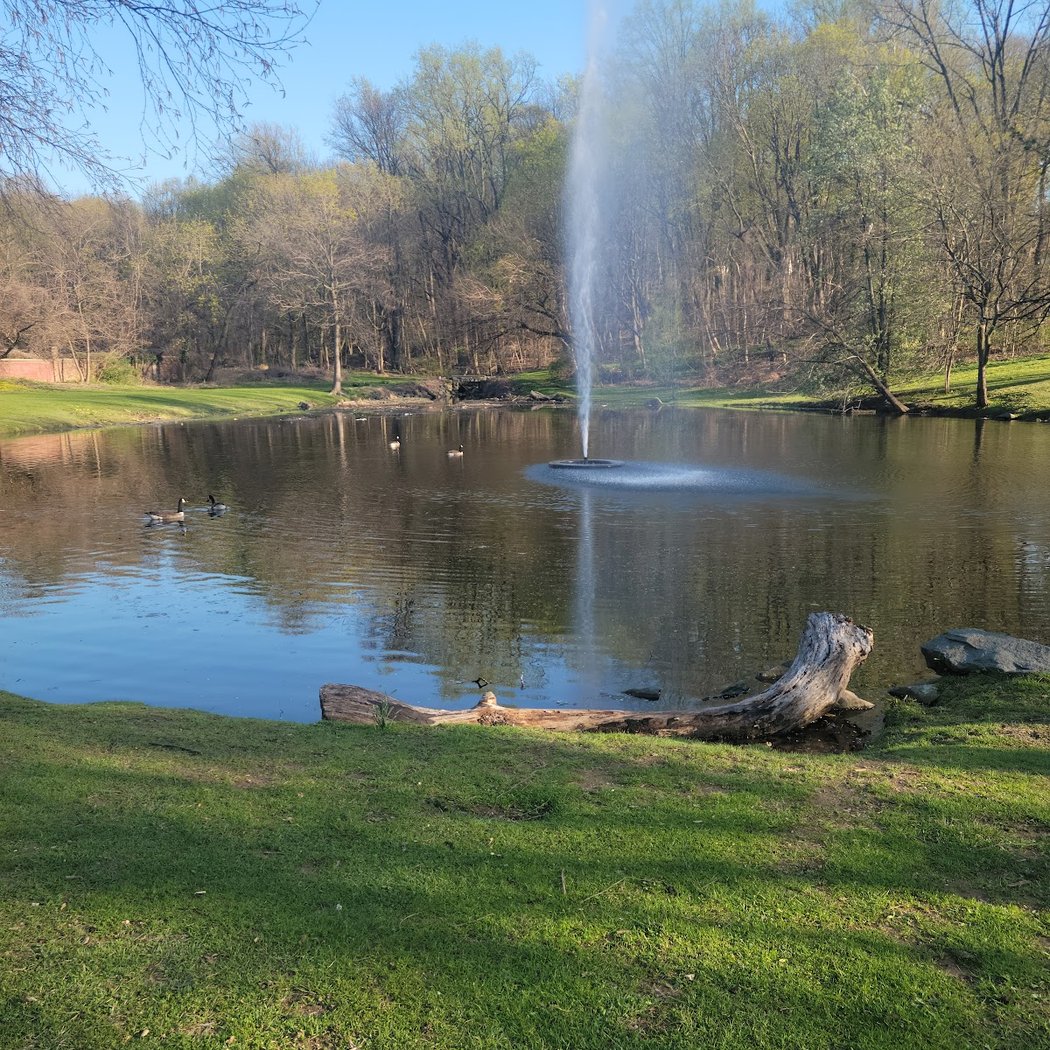 Allison Pond Park 3