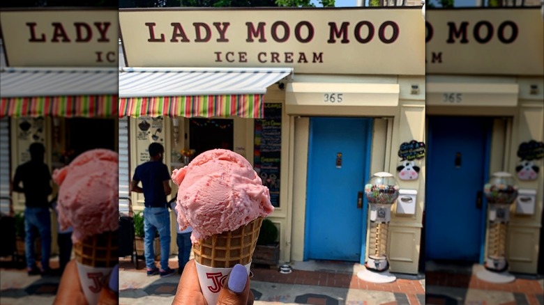 Lady Moo Moo Ice Cream 2