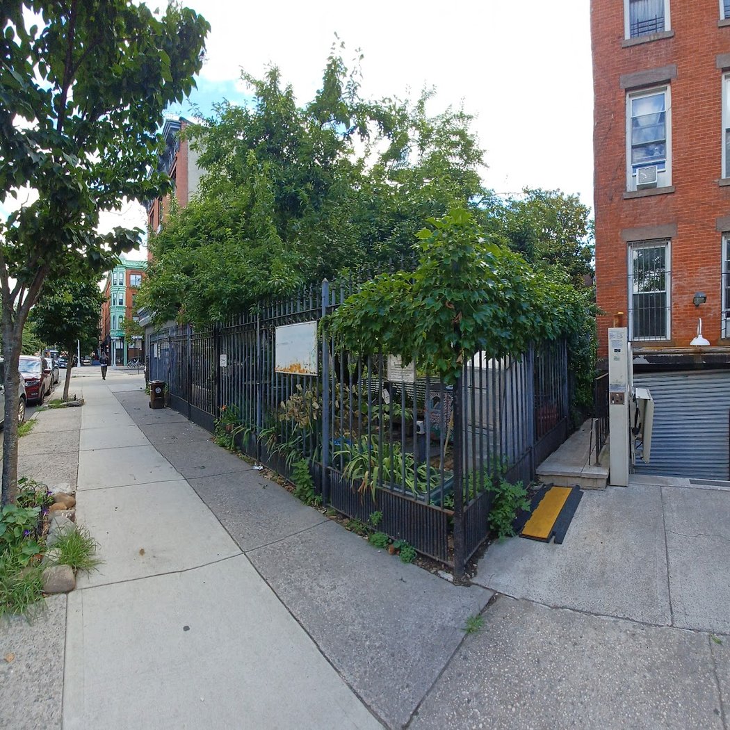 Clifton Place Block Association Garden 3