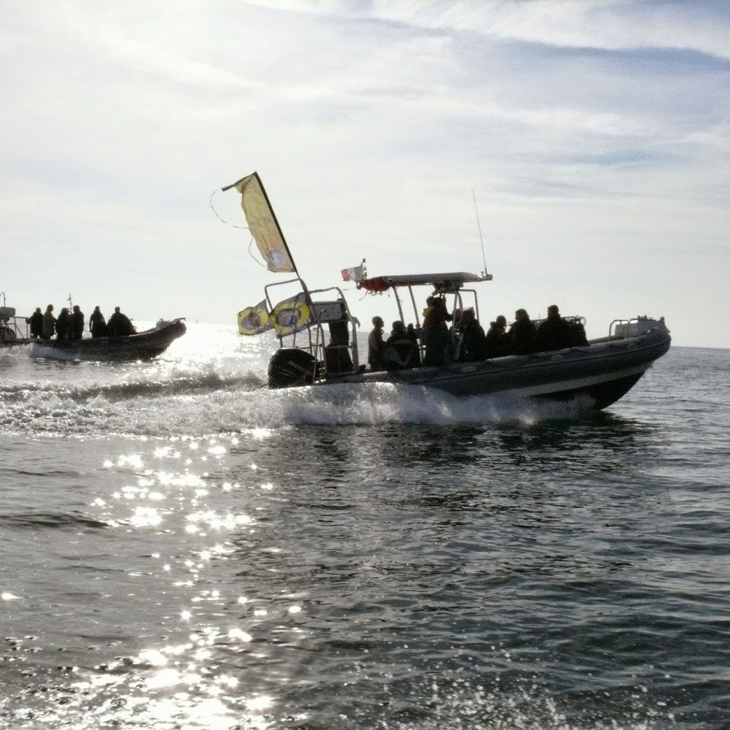 H2JO diving 2