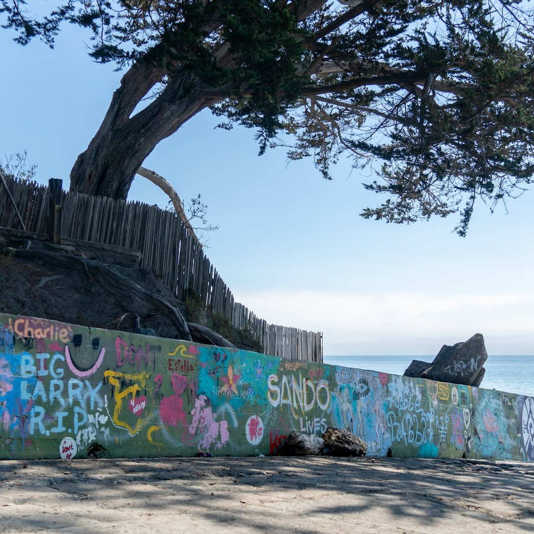 Bolinas Beach 5