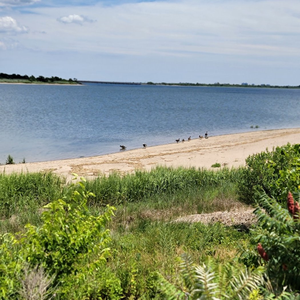 Shirley Chisholm State Park (Fountain Entrance) 2