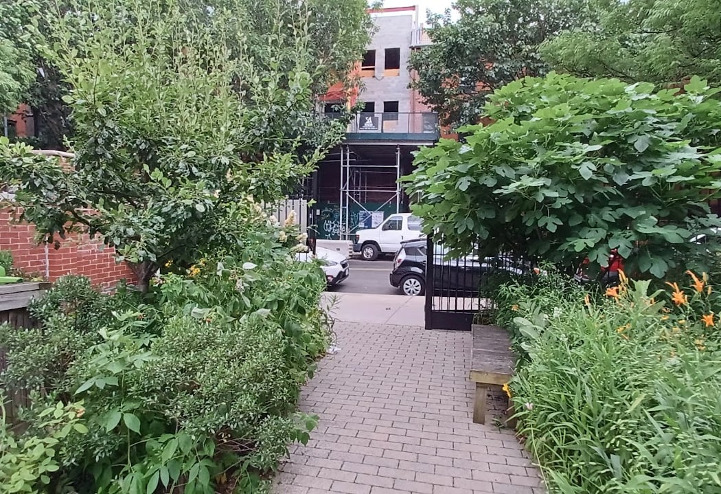 Jane Bailey Memorial Garden 3