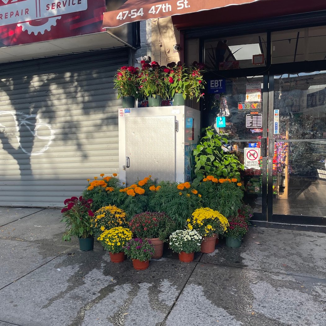 LA HUERTA Fruits & Vegetables 2