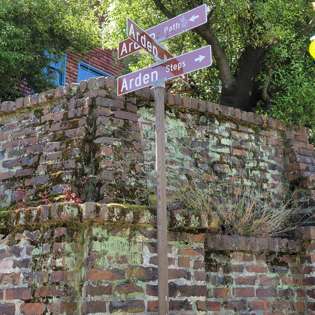 Arden Steps 3