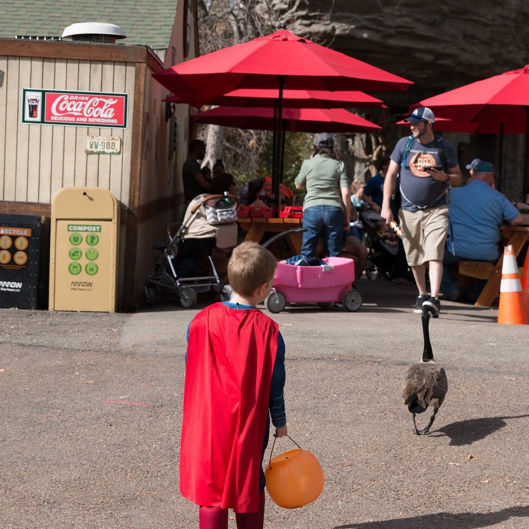 Boo at the Zoo: Sensory-Friendly Night 2