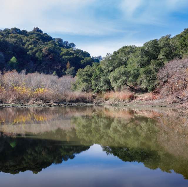 Waterdog Lake & Open Space 1